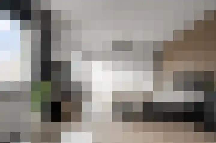 Blauwe Ring 75 Assendelft thumbnail 22