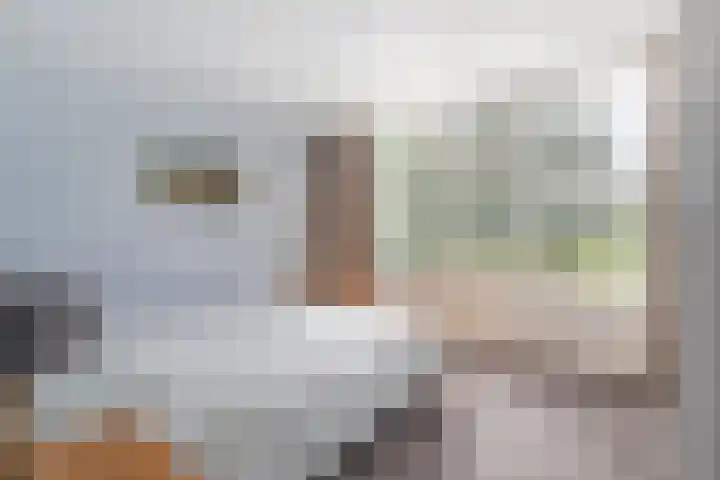 Blauwe Ring 75 Assendelft thumbnail 31