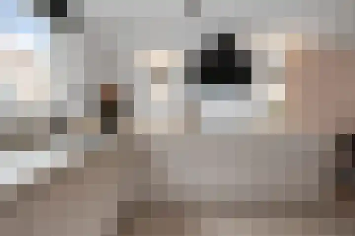 Blauwe Ring 75 Assendelft thumbnail 7
