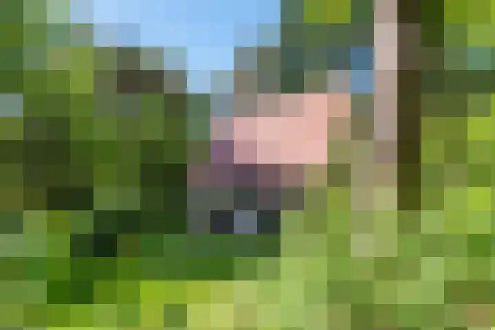 Blauwe Ring 75 Assendelft thumbnail 8