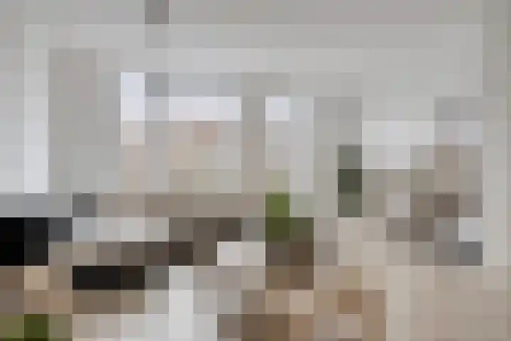Blauwe Schoe 10 Goes thumbnail 10
