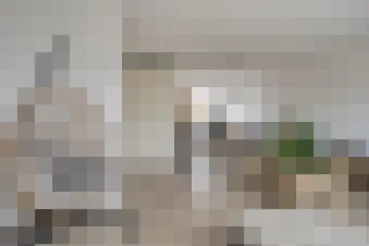 Blauwe Schoe 10 Goes thumbnail 11