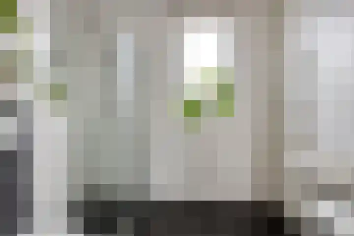 Blauwe Schoe 10 Goes thumbnail 22