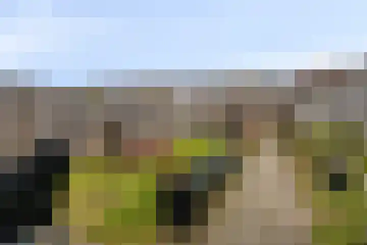 Blauwe Schoe 10 Goes thumbnail 29
