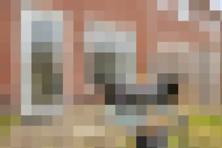 Blauwe Schoe 10 Goes thumbnail 32
