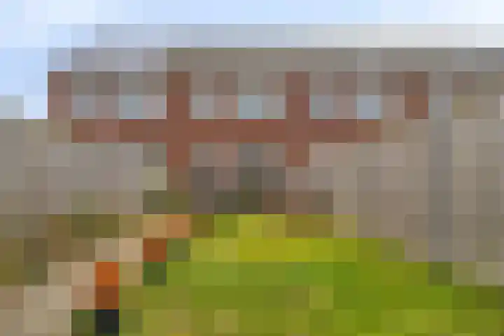 Blauwe Schoe 10 Goes thumbnail 34