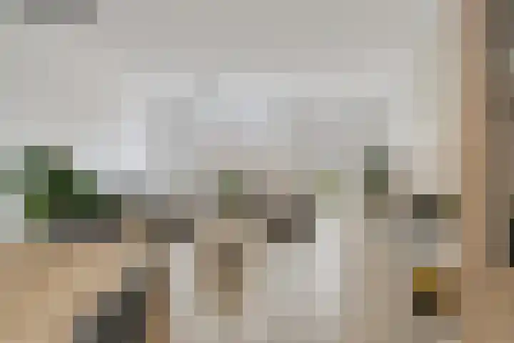 Blauwe Schoe 10 Goes thumbnail 8