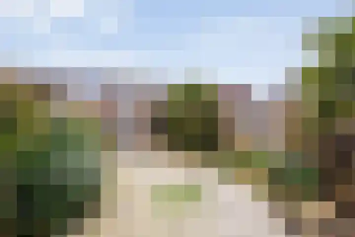 Blauwe Schoe 6 Goes thumbnail 27