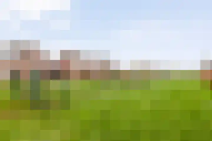 Blauwe Schoe 6 Goes thumbnail 33