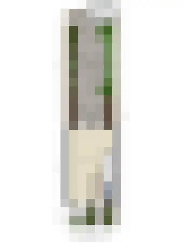 Blauwe Schoe 6 Goes thumbnail 34