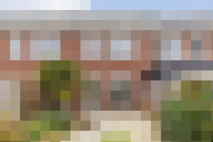 Blauwe Schoe 6 Goes thumbnail 4