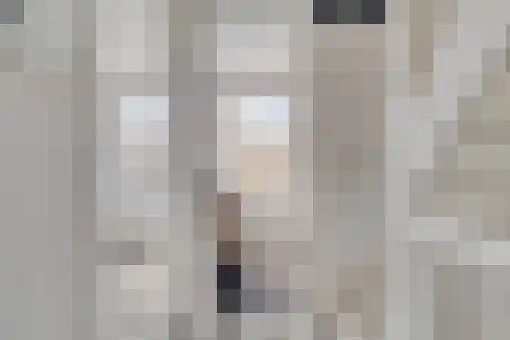 Blauwe Schuit 8 Bergen op Zoom thumbnail 11
