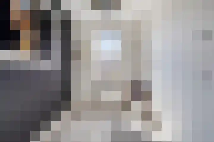 Blauwe Schuit 8 Bergen op Zoom thumbnail 17