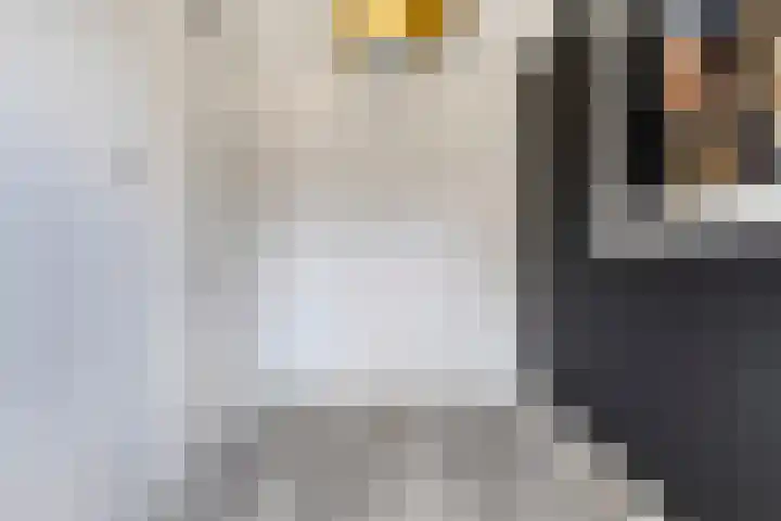 Blauwe Schuit 8 Bergen op Zoom thumbnail 18