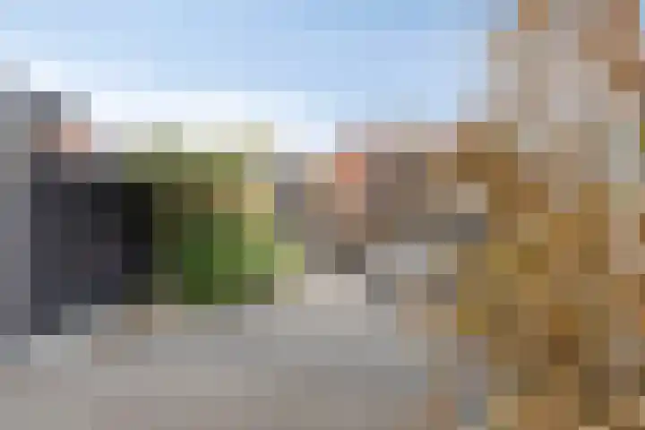Blauwe Schuit 8 Bergen op Zoom thumbnail 22