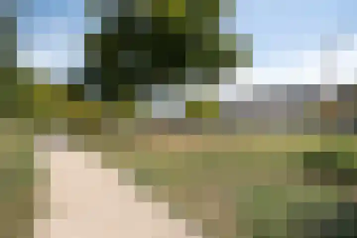 Blauwe Schuit 8 Bergen op Zoom thumbnail 29