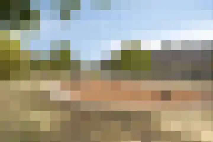 Blauwe Schuit 8 Bergen op Zoom thumbnail 30