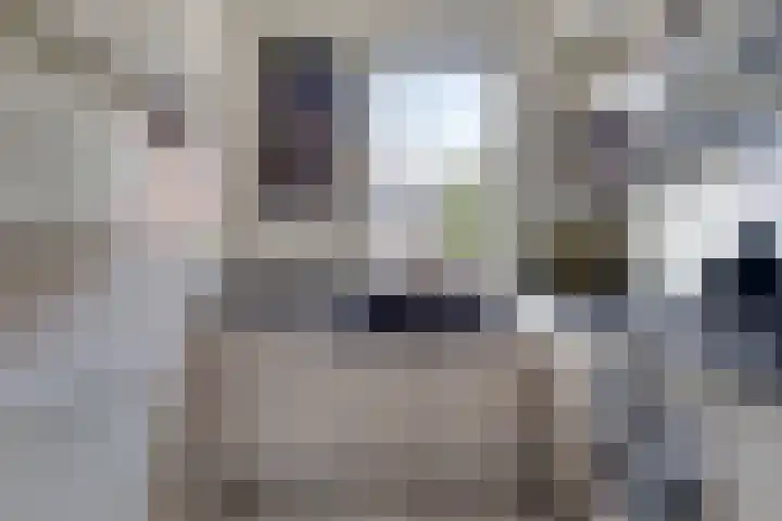 Blauwe Schuit 8 Bergen op Zoom thumbnail 4