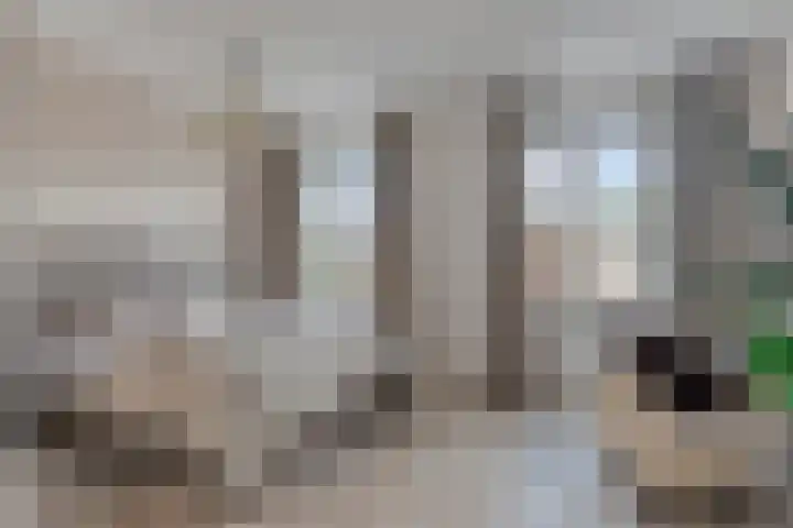 Blauwe Schuit 8 Bergen op Zoom thumbnail 5