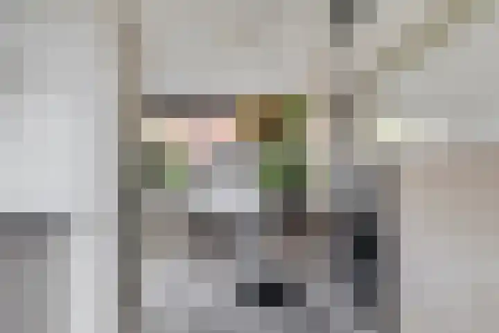 Blauwe Schuit 8 Bergen op Zoom thumbnail 9