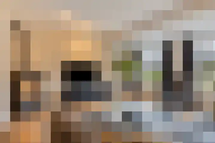 Blauwe-Schutplein 10 Aarle-Rixtel thumbnail 10