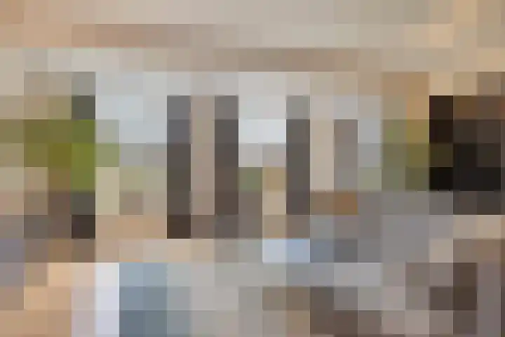 Blauwe-Schutplein 10 Aarle-Rixtel thumbnail 4