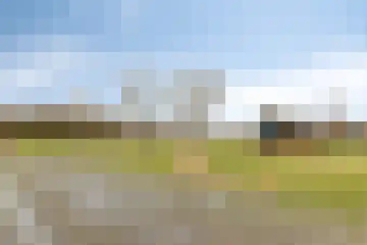 Blauwe-Schutplein 10 Aarle-Rixtel thumbnail 41