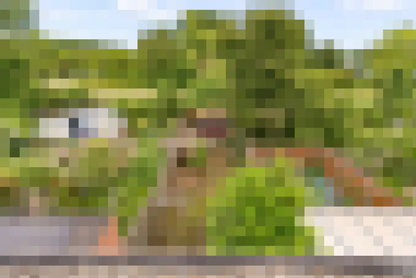Blauwe Slenk 27 Lelystad thumbnail 33