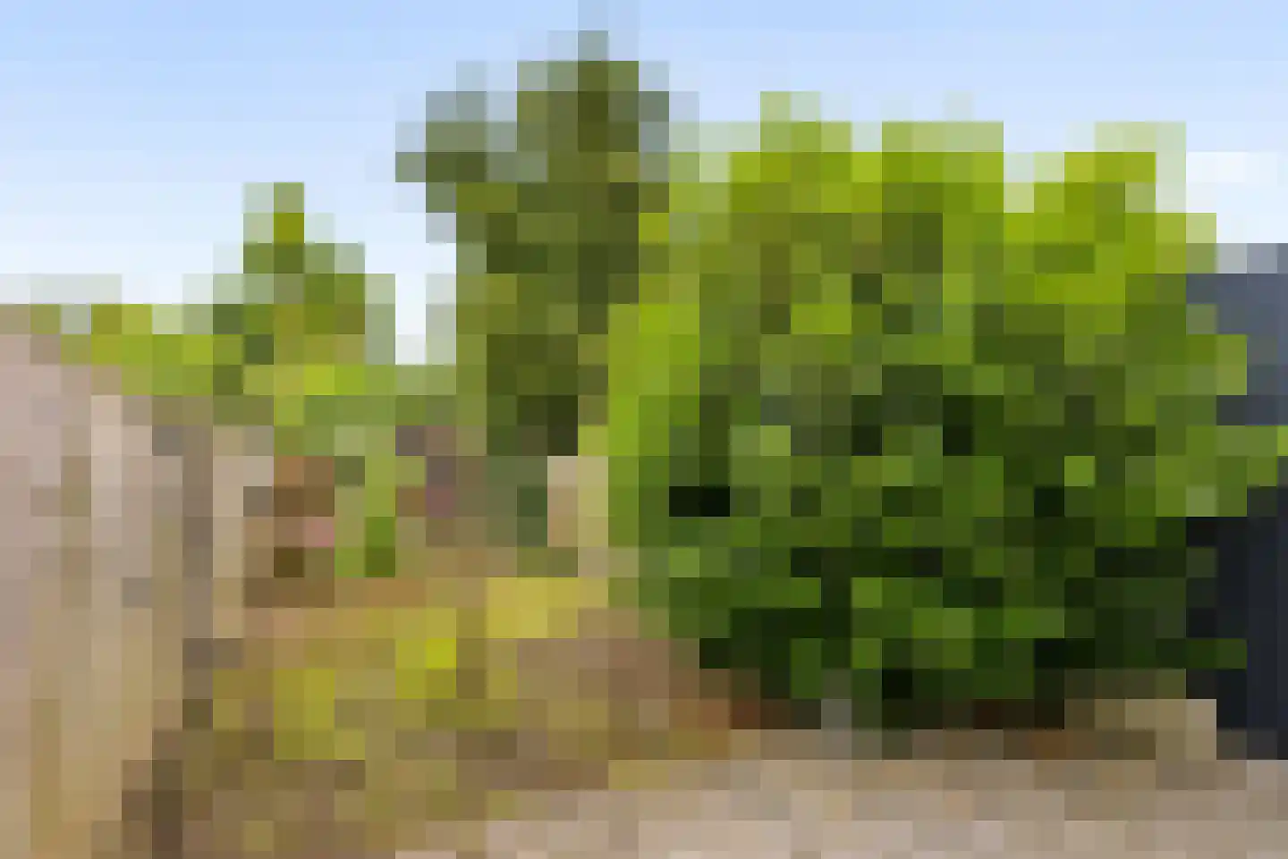 Blauwe Slenk 27 Lelystad thumbnail 35