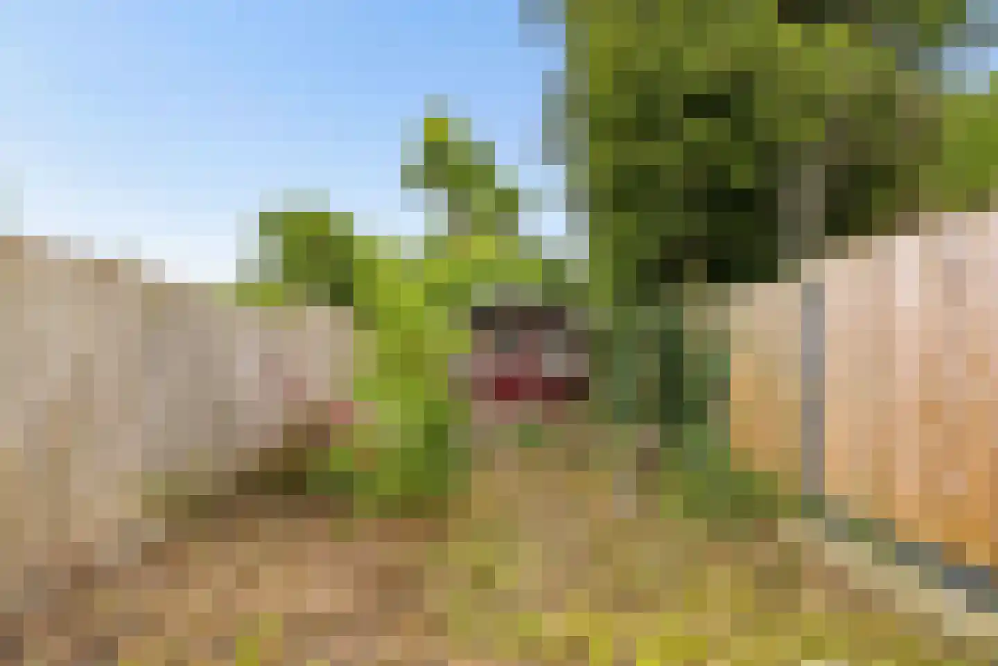 Blauwe Slenk 27 Lelystad thumbnail 36