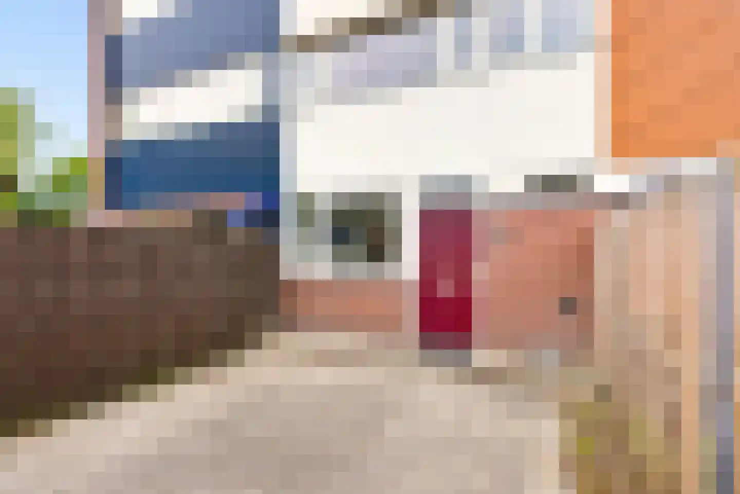 Blauwe Slenk 27 Lelystad thumbnail 6