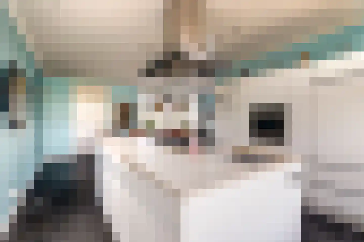 Blauwe Slenk 4 Harlingen thumbnail 11
