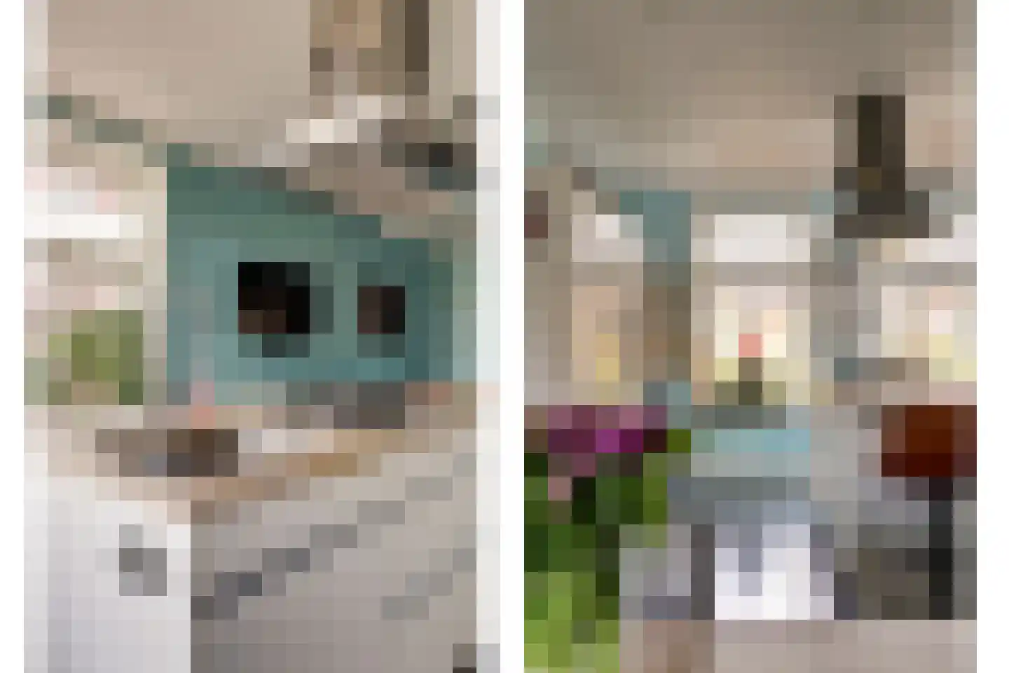 Blauwe Slenk 4 Harlingen thumbnail 13