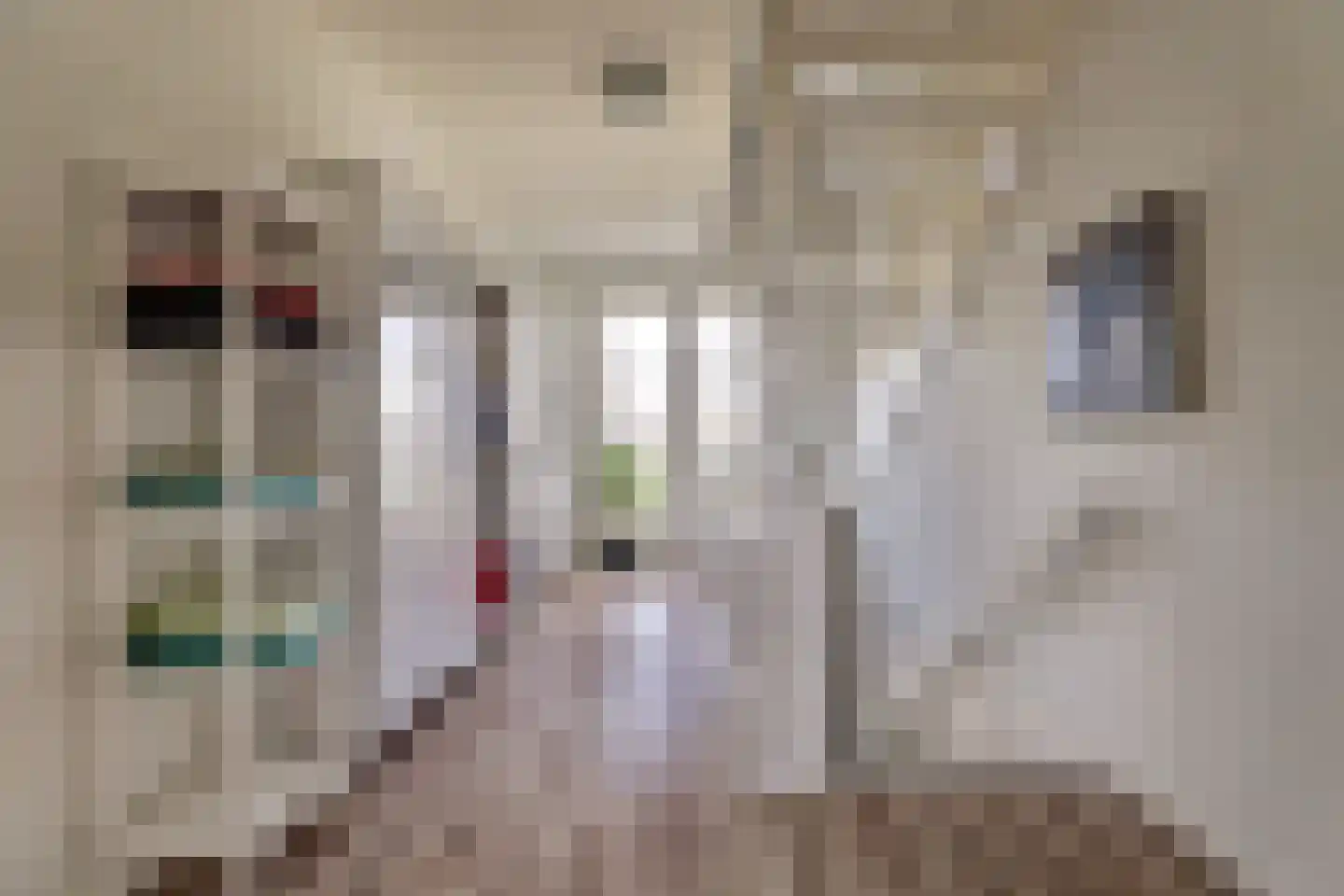 Blauwe Slenk 4 Harlingen thumbnail 18
