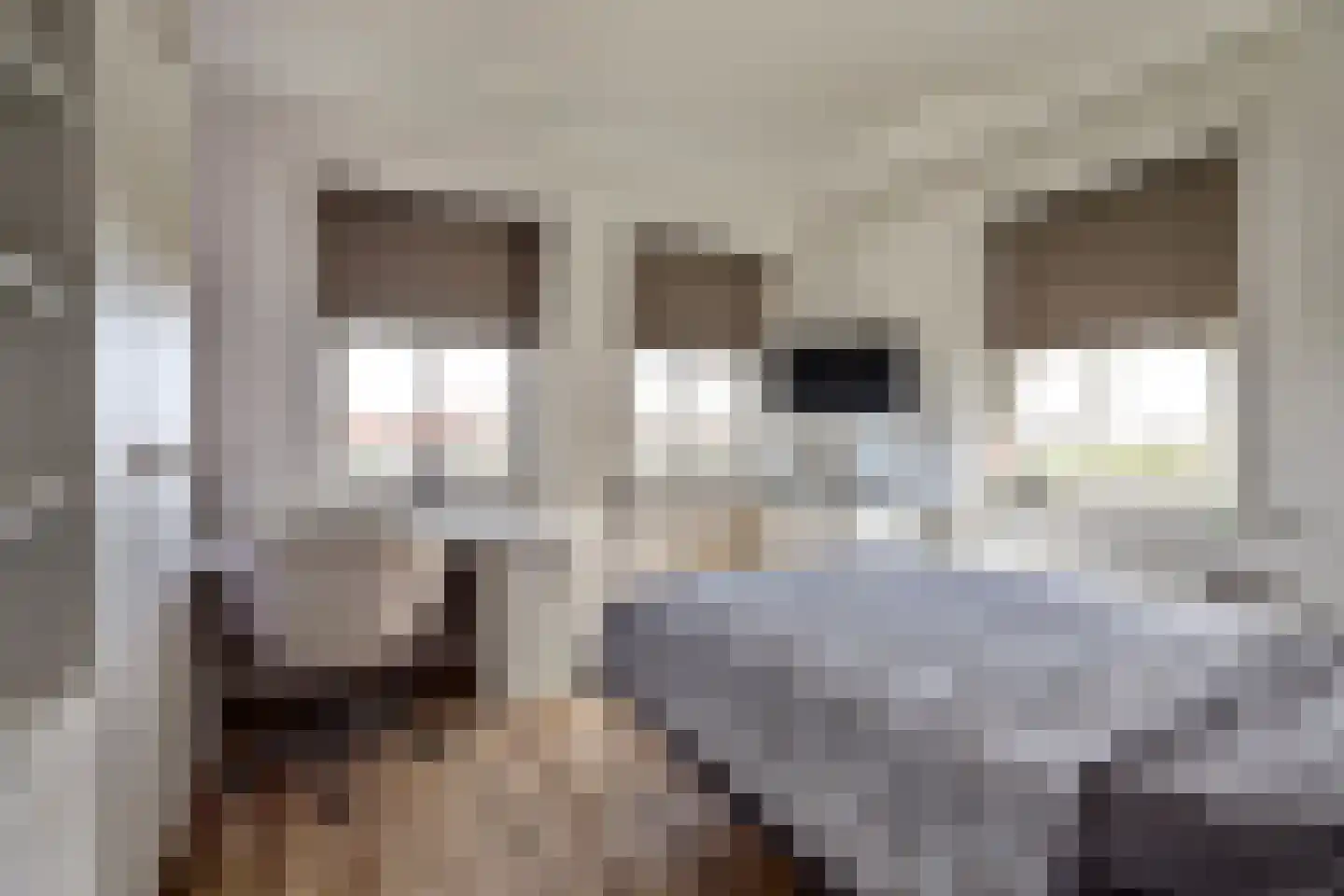 Blauwe Slenk 4 Harlingen thumbnail 19