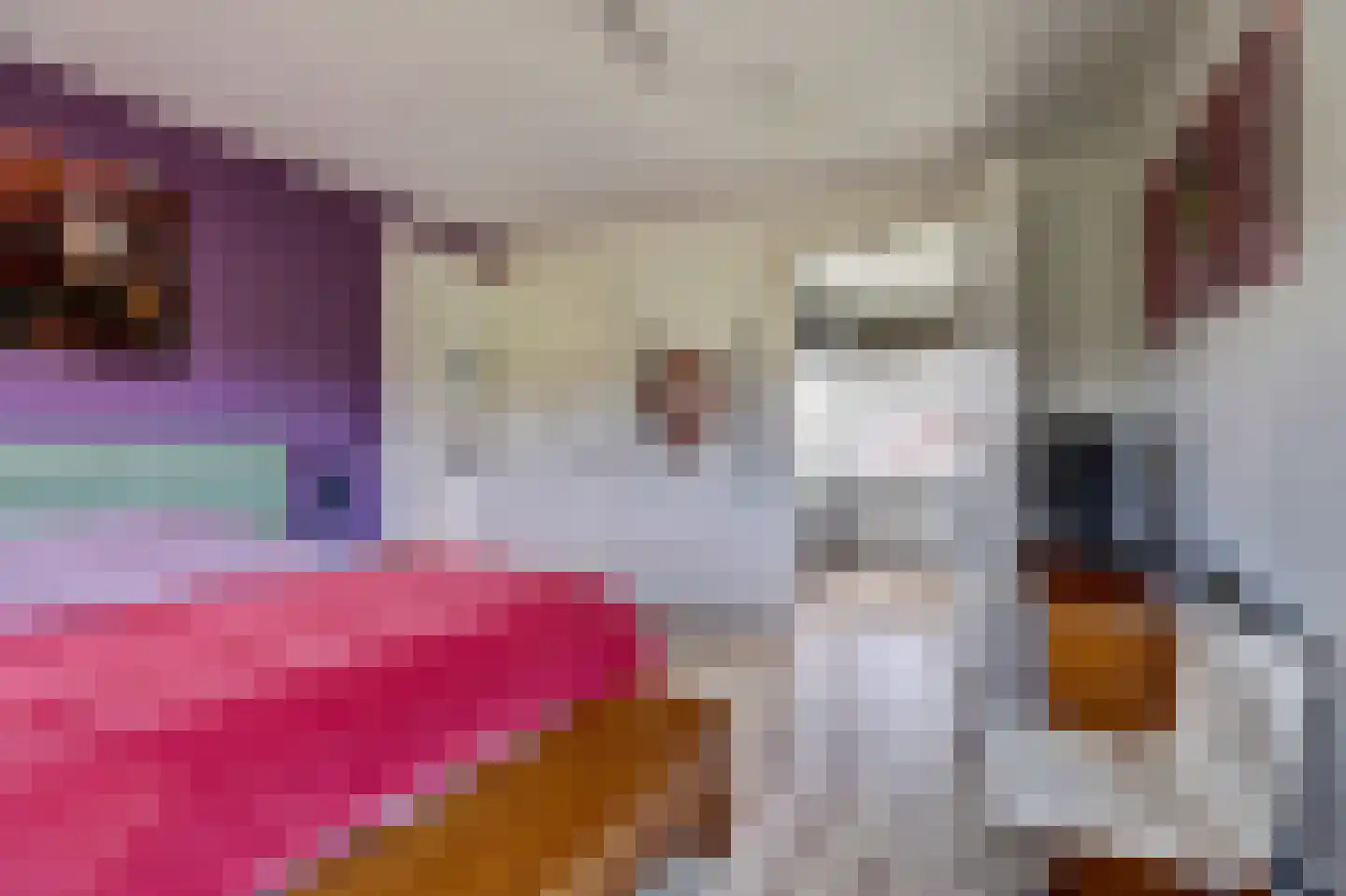 Blauwe Slenk 4 Harlingen thumbnail 22