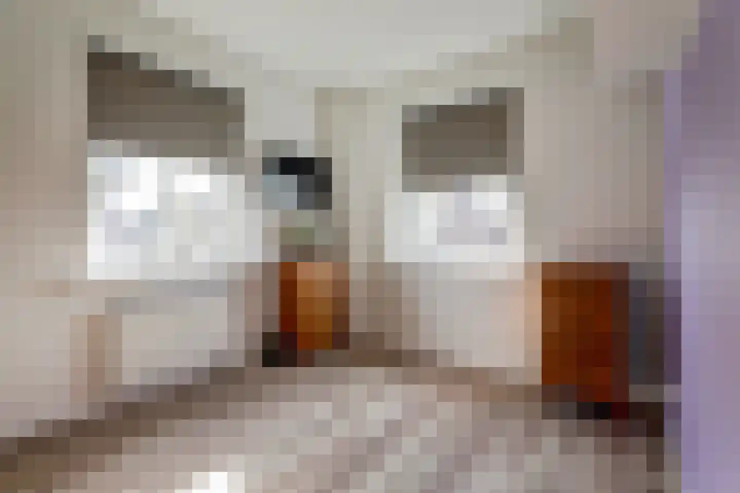 Blauwe Slenk 4 Harlingen thumbnail 23