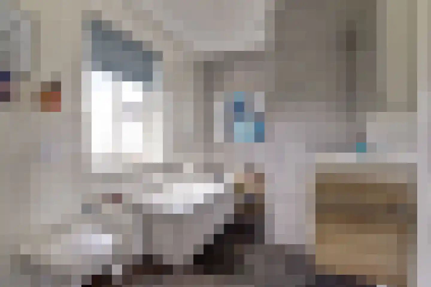 Blauwe Slenk 4 Harlingen thumbnail 25