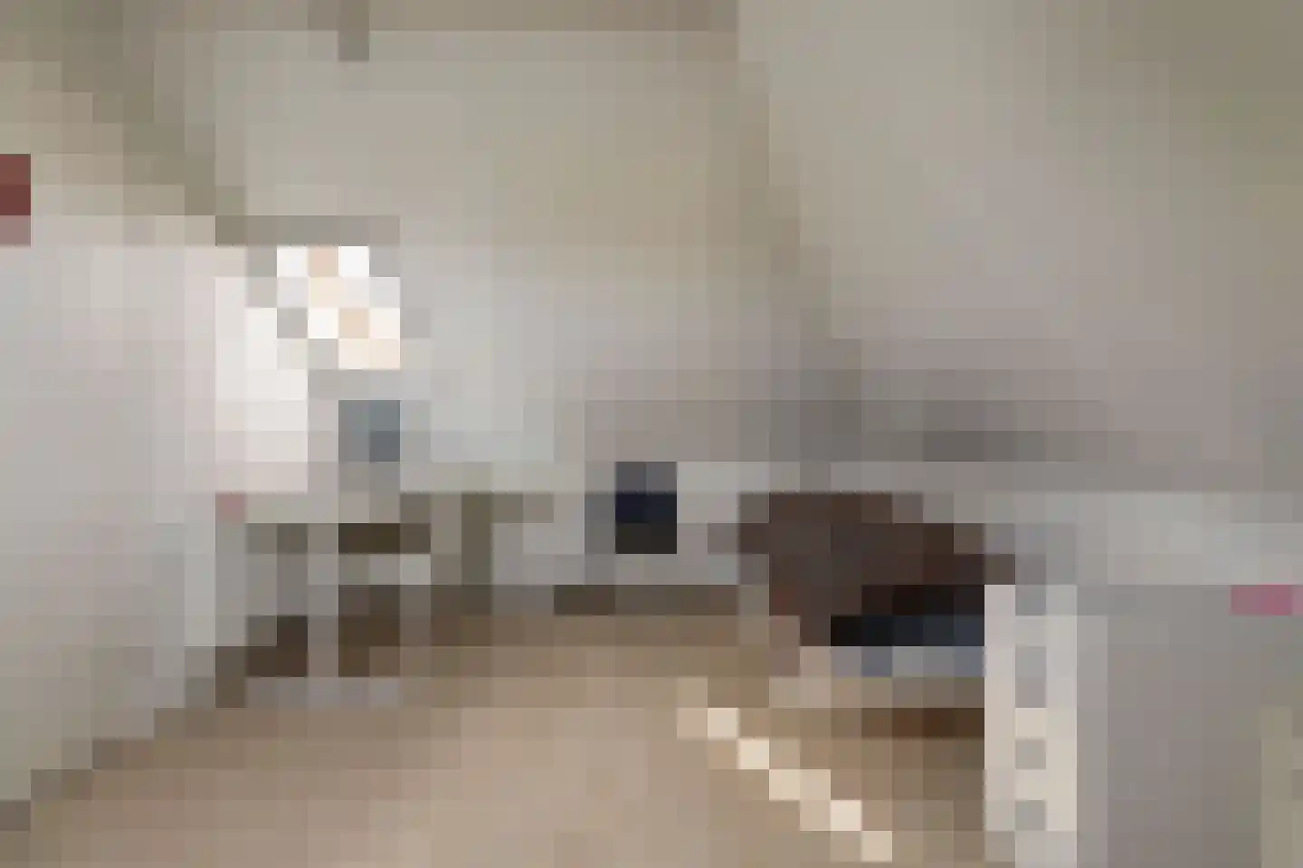 Blauwe Slenk 4 Harlingen thumbnail 33