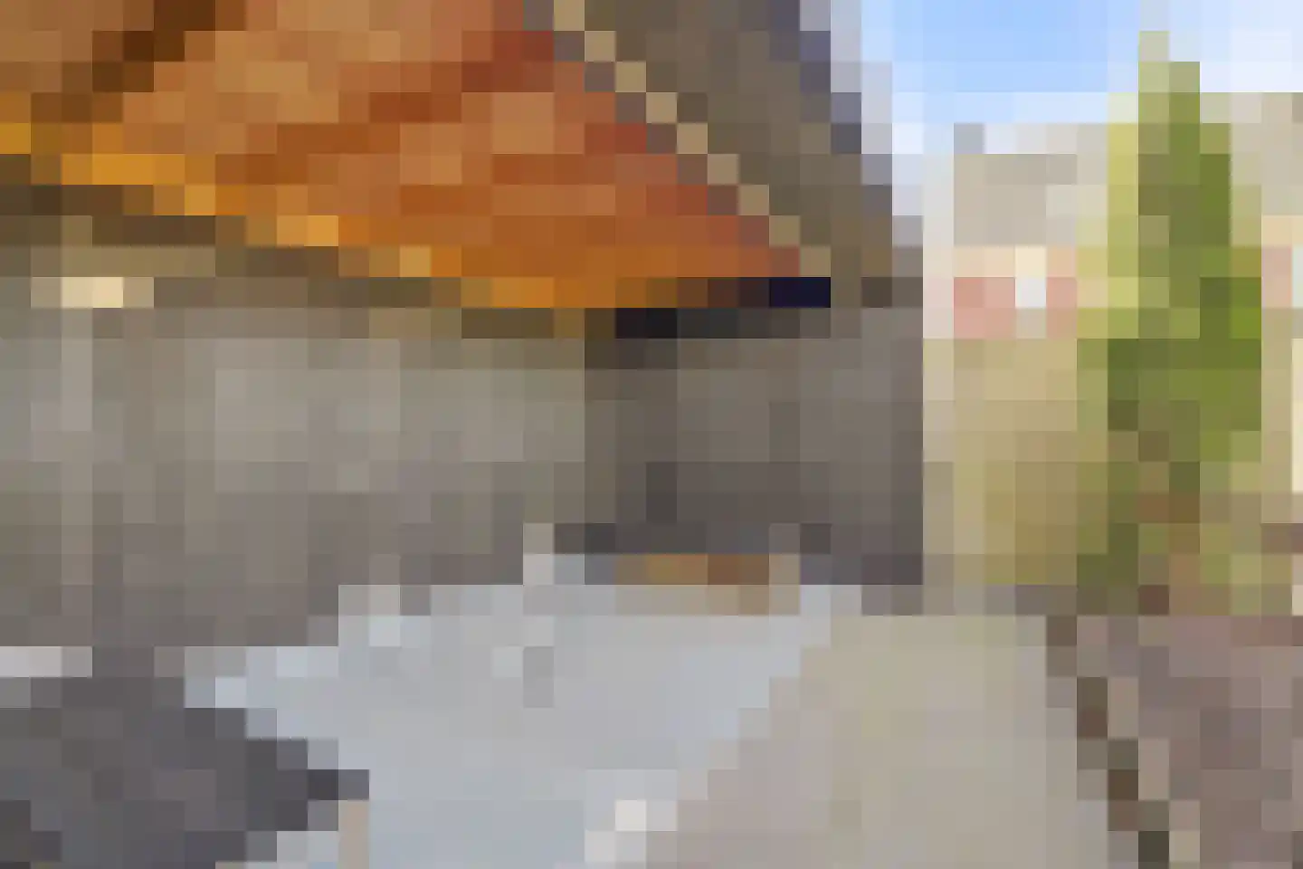 Blauwe Slenk 4 Harlingen thumbnail 43