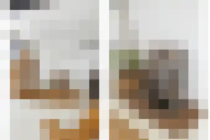 Blauwe Sluis 16 Appeltern thumbnail 10