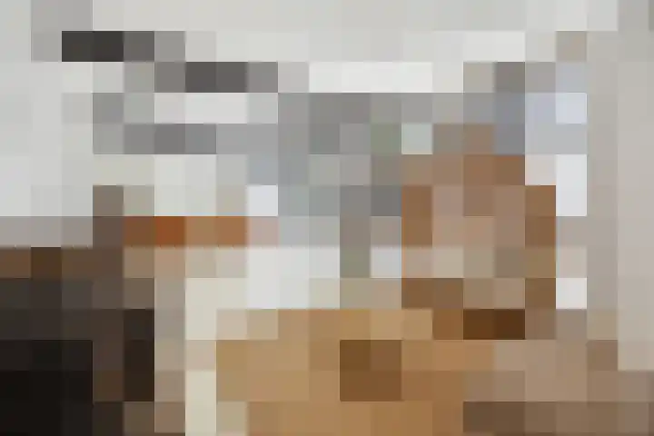 Blauwe Sluis 16 Appeltern thumbnail 11