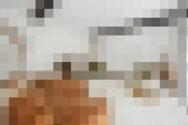 Blauwe Sluis 16 Appeltern thumbnail 12