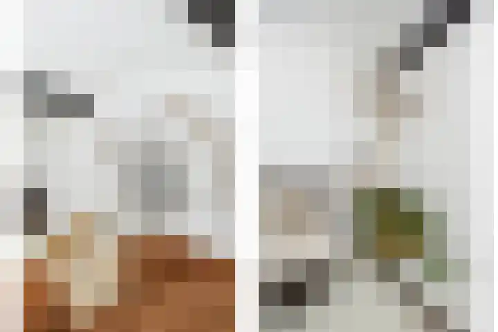 Blauwe Sluis 16 Appeltern thumbnail 13