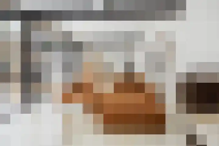 Blauwe Sluis 16 Appeltern thumbnail 14