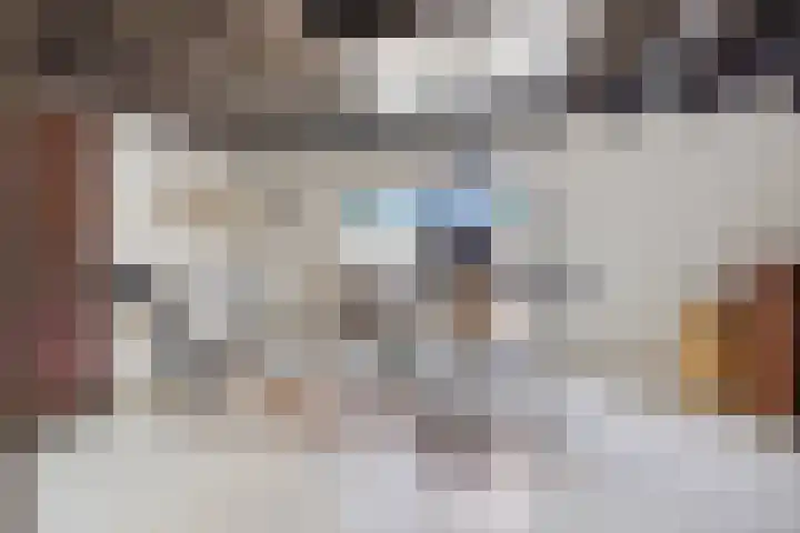 Blauwe Sluis 16 Appeltern thumbnail 16
