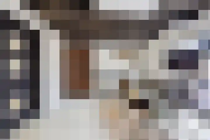 Blauwe Sluis 16 Appeltern thumbnail 17