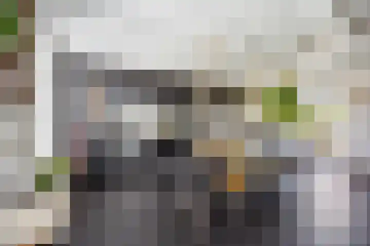 Blauwe Sluis 16 Appeltern thumbnail 18