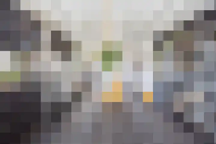 Blauwe Sluis 16 Appeltern thumbnail 19