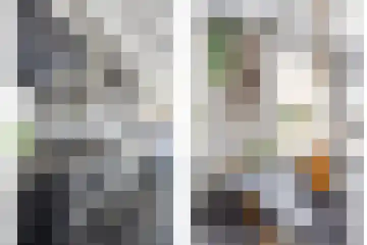 Blauwe Sluis 16 Appeltern thumbnail 20